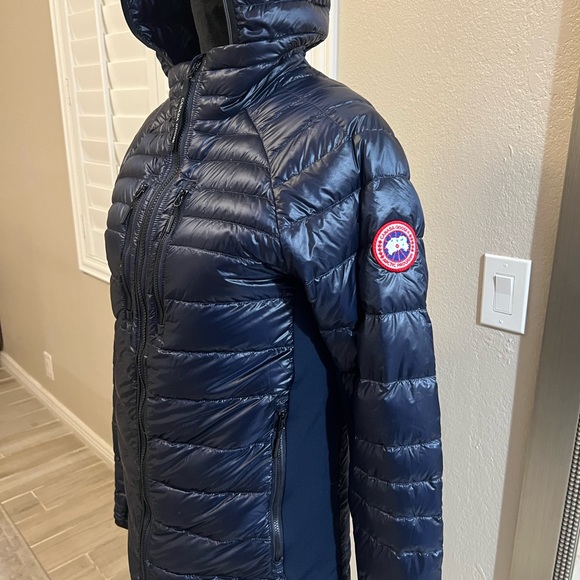 Cansa goose - Picture 8 of 16